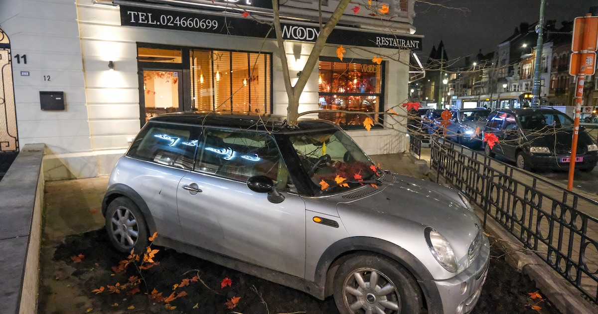 Que fait cette Mini Cooper transpercée par un arbre en plein Schaerbeek ...
