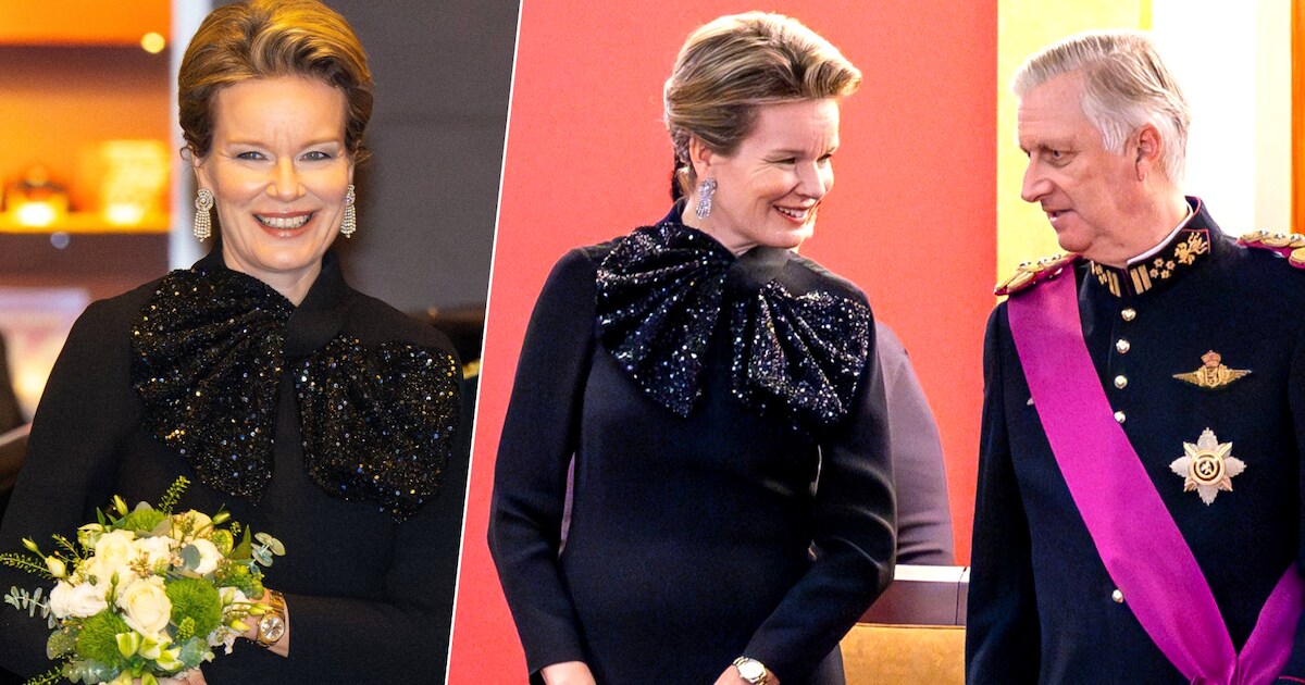 La presse étrangère émerveillée par la reine Mathilde: “Elle était la ...