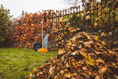 Tondez une dernière fois: 5 gestes pour préparer votre jardin à l’hiver