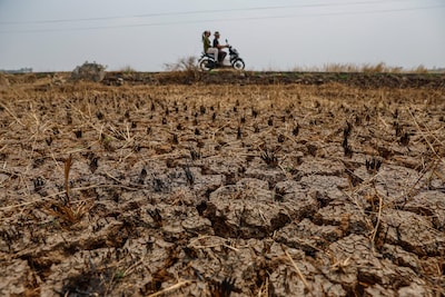 El Niño pourrait causer près de 500.000 décès supplémentaires liés à la chaleur