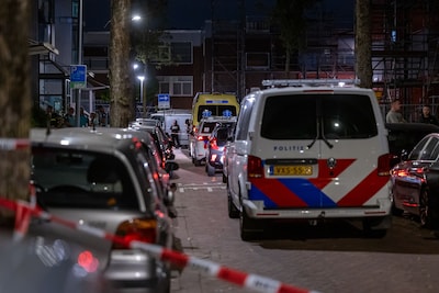 Un homme tué par deux chiens à Rotterdam