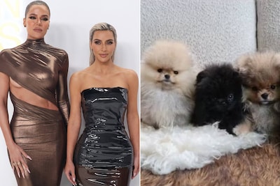 Sorry! Image not available at this time