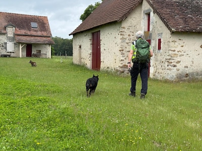 Un randonneur belge de 62 ans porté disparu retrouvé vivant en France après huit jours: “Tout le monde avait les larmes aux yeux”