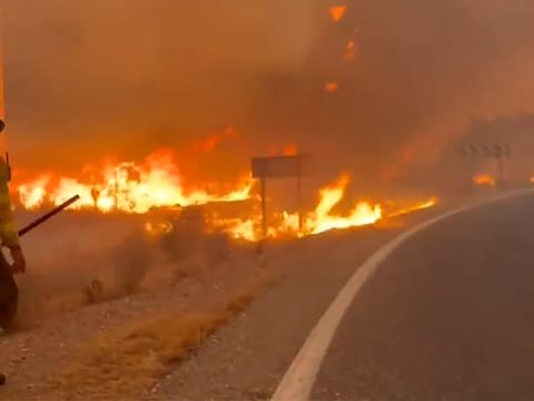 L'Andalousie en proie à de terribles feux de forêts