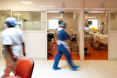 Le virus Shamonda fait une première victime humaine en France