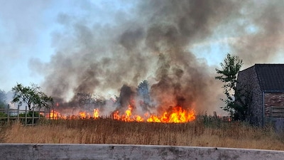 Un important feu de prairie contenu à 30 mètres d’habitations près de Genk