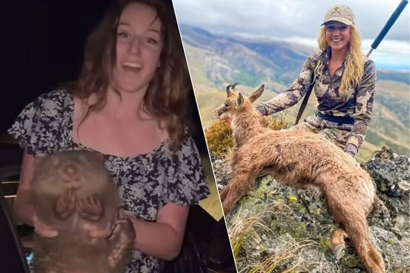Une influenceuse américaine enlève un bébé wombat à sa mère, puis fuit ...