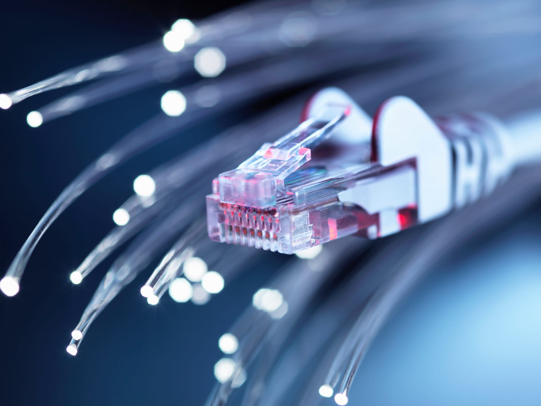 La fibre est-elle nécessaire pour tout le monde ?