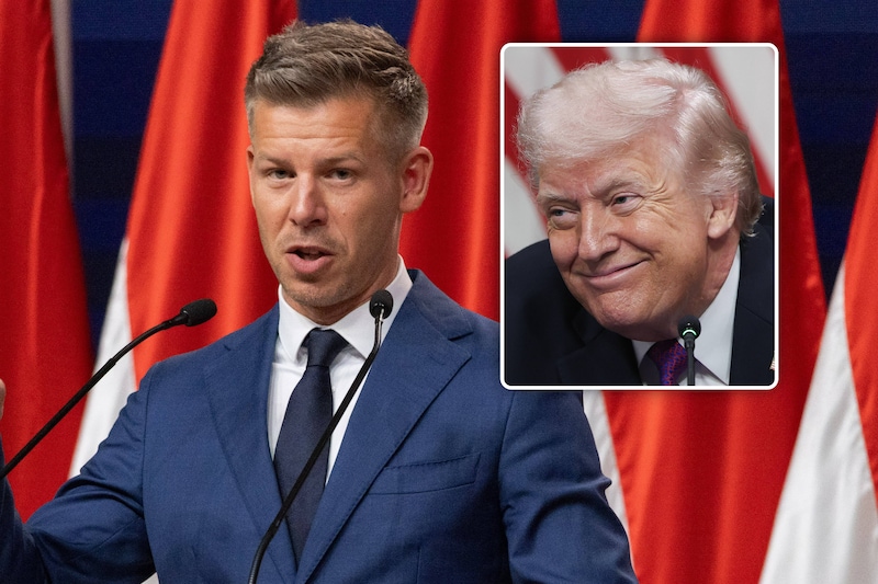 Peter Magyar “va faire du bon travail”, estime Trump: “Un homme bien” |  7sur7.be