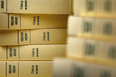 “Il ne doit pas devenir le bouc émissaire”: l’éditeur Boréal maintient le livre de Thélyson Orélien