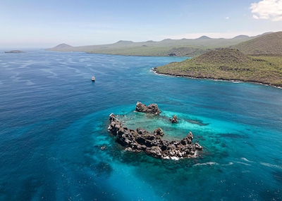 Sorry! Image not available at this time