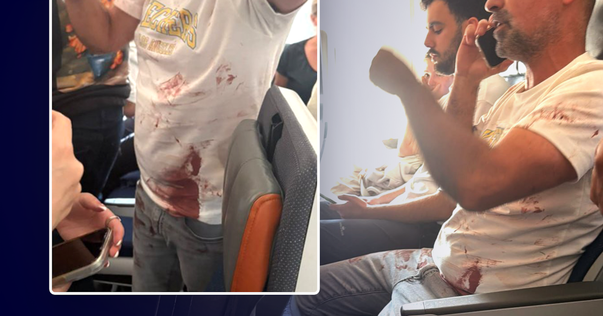 “L’un des pilotes a tenté de faire crasher l’avion”: ce que l’on sait sur l’attaque à bord d’un vol vers Israël