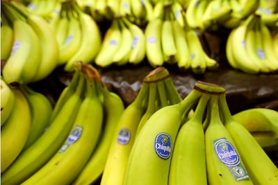 Après trois mois d’absence, Chiquita retourne au Panama
