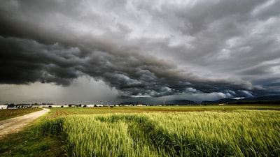 Jusqu’à quand ce temps instable? Les prévisions de l’IRM pou