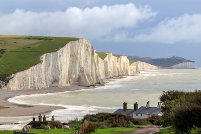 Le visage d’un Normand qui a conquis l’Angleterre il y a près de 1000 ans reconstitué grâce à la science