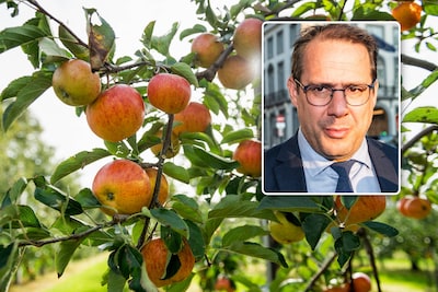 Le marché chinois s’ouvre aux pommes belges: “Un accord historique”, selon David Clarinval