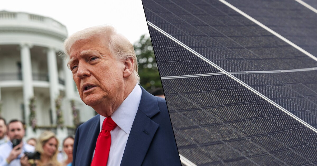 Trump freine l’économie américaine en boycottant le secteur solaire ...