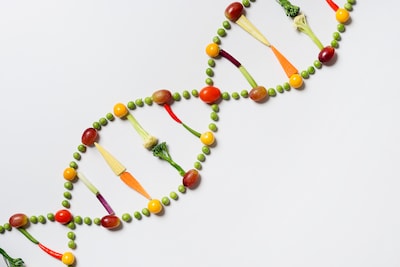 Pourquoi l’hérédité ne dépend pas uniquement de l’ADN
