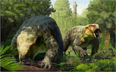 Ce fossile de 240 millions d’années pourrait remettre en question l’histoire des dinosaures