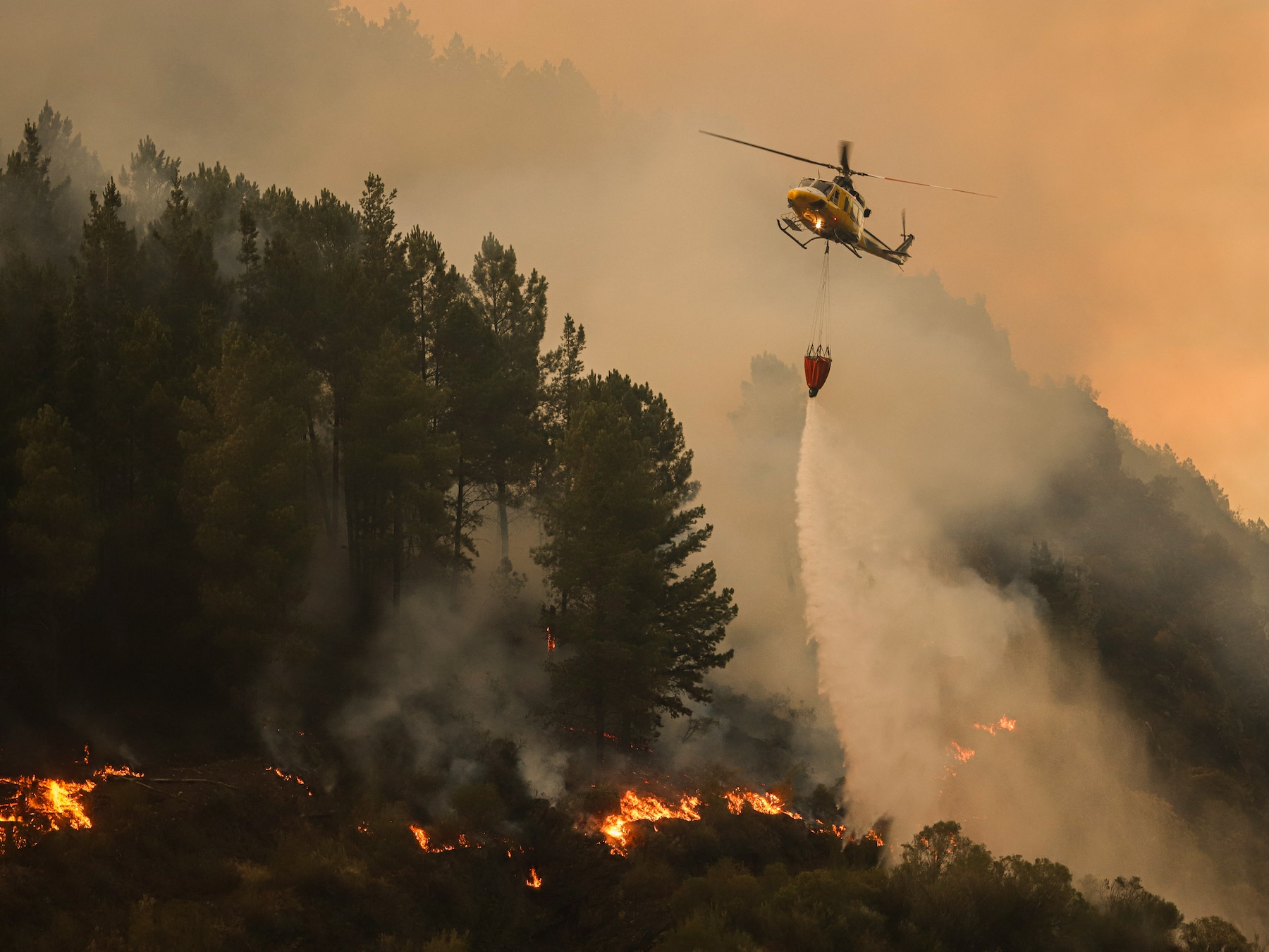 Le Premier ministre espagnol reconnaît que la prévention contre les feux de forêt a été insuffisante