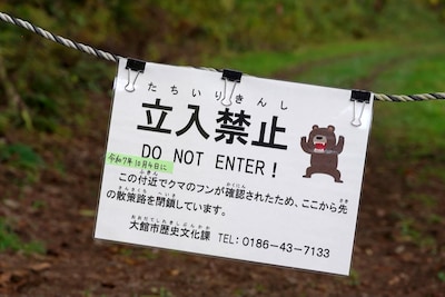 Des dizaines d’écoles japonaises fermées en raison de signal