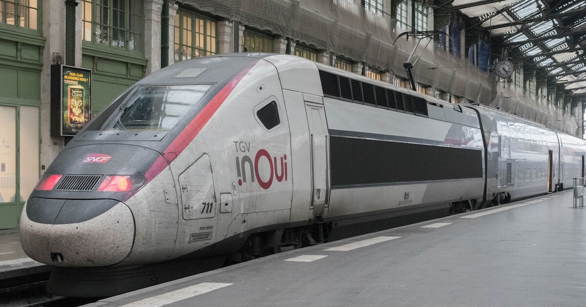 Chat “coupé en deux” par un TGV: le parquet requiert la relaxe pour la ...