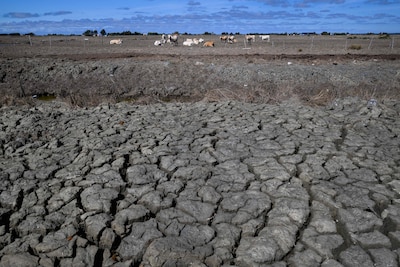 L’Europe n’a jamais été aussi exposée au stress thermique que durant l’été 2026