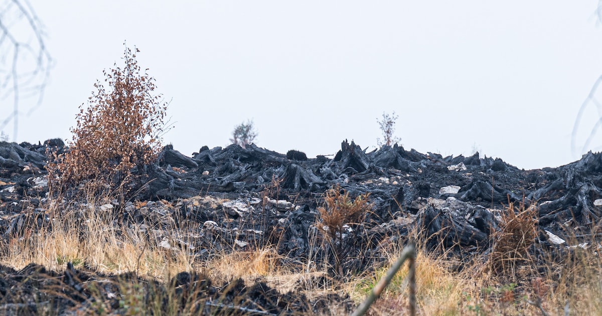 Les opérations de sécurisation se poursuivent dans les Hautes Fagnes