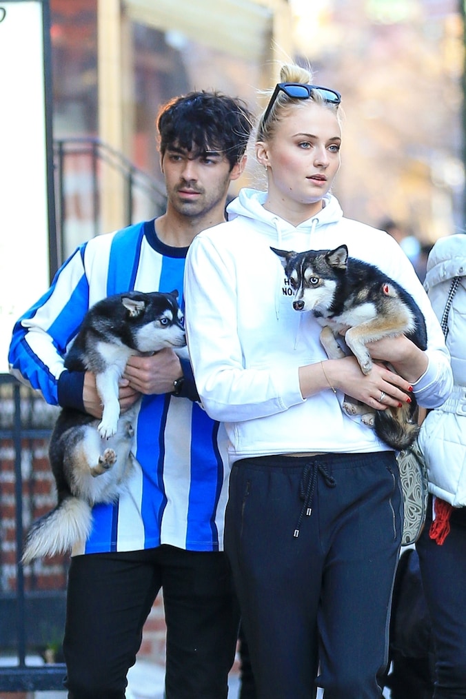 sophie-turner-et-joe-jonas-s-offrent-un-tatouage-en-hommage-leur
