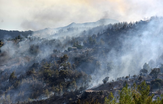 Un feu de forêt à Kumluca (province d'Antalya, Turquie), le 29 juillet 2026.
