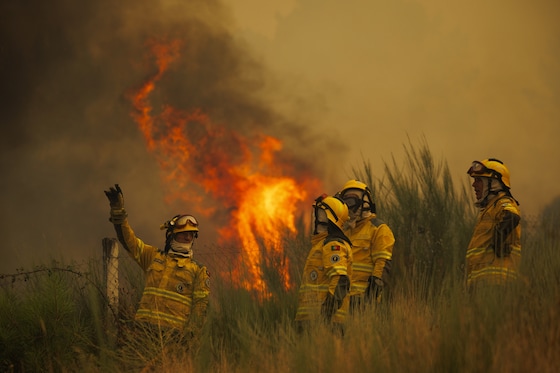 Des pompiers mobilisés lors d’un incendie de forêt déclenché à Valpaços et qui ravage désormais les villages de Fradizela, dans la municipalité de Mirandela, au Portugal, le 29 juillet 2026.
