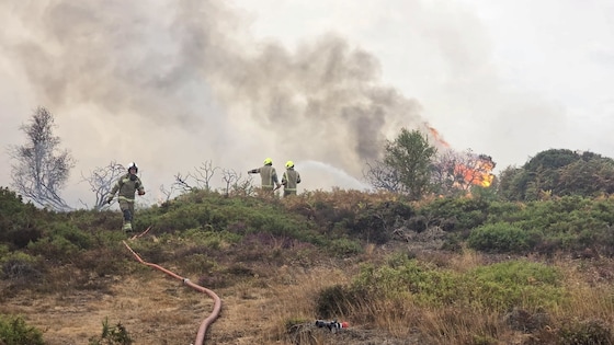 Des pompiers tentent d’éteindre un incendie de forêt dans une zone présentée comme située dans le Suffolk, en Grande-Bretagne, sur cette image fournie le 30 juillet 2026.