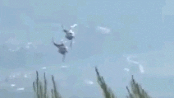 Les deux hélicoptères quelques instants avant la collision.