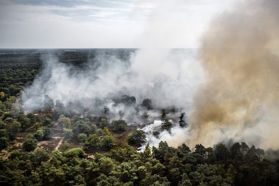 Cette photo aérienne montre de la fumée s’élevant au-dessus de la réserve naturelle De Rosmolen-Limburg lors d’un incendie près d’Oostrum, dans la commune néerlandaise de Venray, au sud-est des Pays-Bas, le 3 août 2026.
