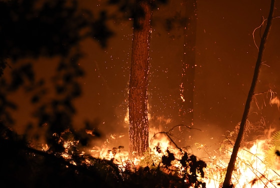 Des braises incandescentes jaillissent d'un tronc d'arbre en feu alors qu'un incendie de forêt fait rage dans la forêt des Landes, à Luglon.
