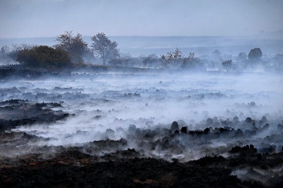 Les Fagnes, le 18 août 2026.