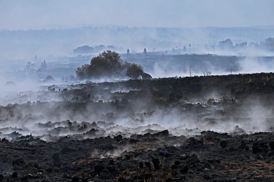 Hautes-Fagnes, 18 août