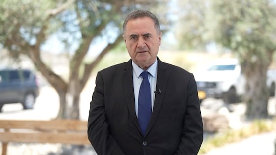Le ministre israélien de la Défense, Israël Katz.