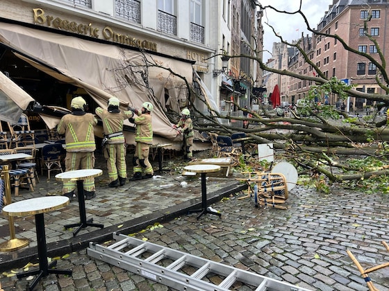 La terrasse de la Brasserie Ommegang endommagée par la chute d'un arbre, à Bruxelles.