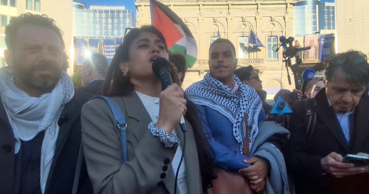 Une marche en faveur de la flottille pour Gaza à Bruxelles: “Vous êtes ...
