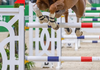 Un cheval fait un arrêt cardiaque en pleine course et percute plusieurs spectateurs