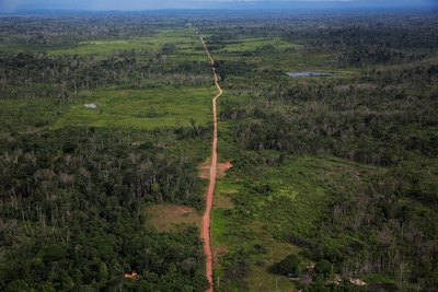La déforestation atteint un seuil historique en 2025 au Brésil